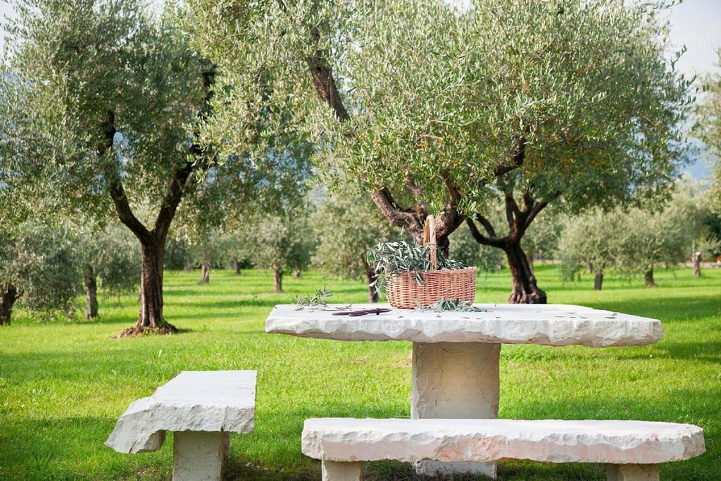 Olea Dei Holiday Apartment