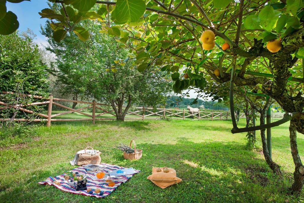 Apartment Olea Dei Holiday San Felice del Benaco